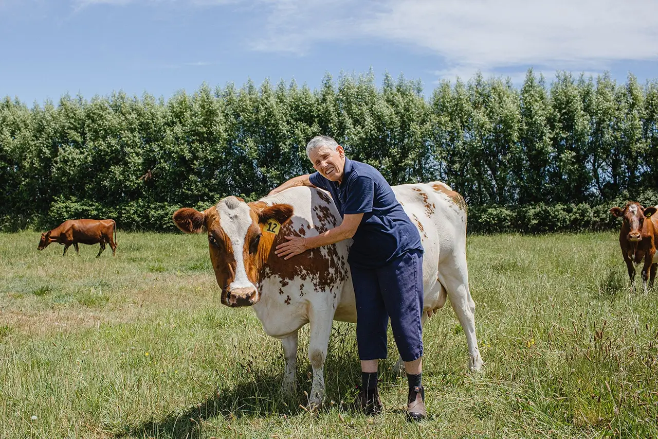 63 cows on our farm