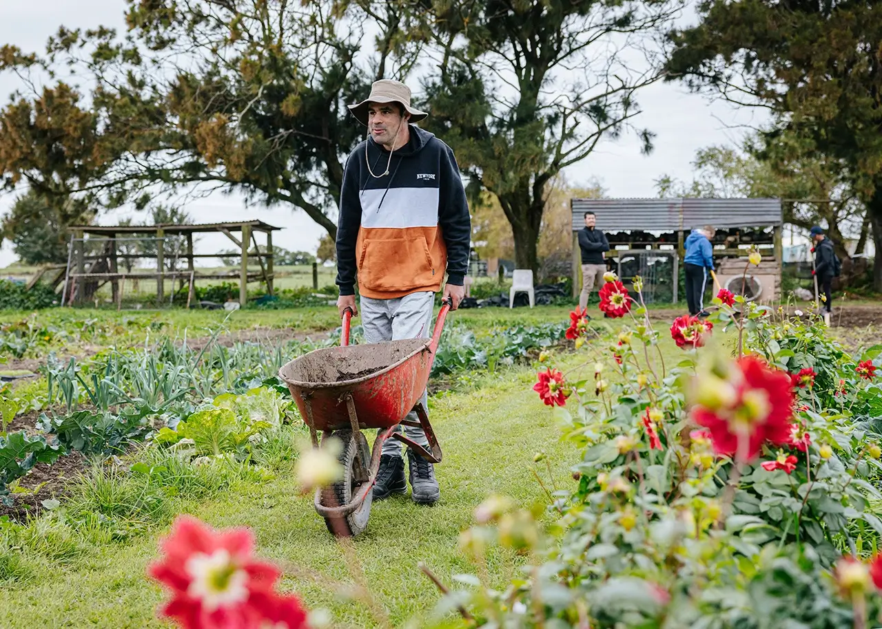 The Hōhepa Hawke's Bay Farm