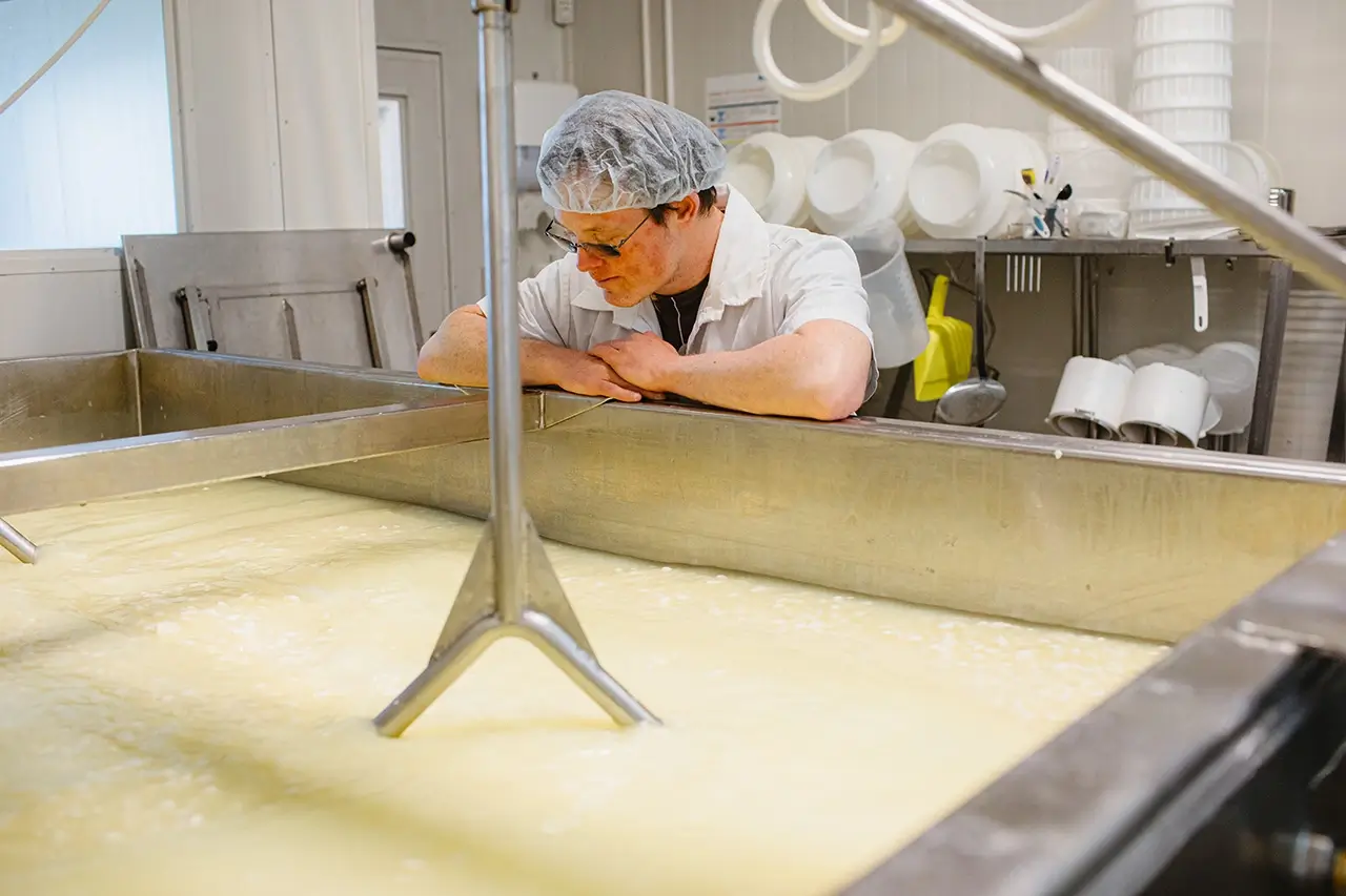 18,000kgs of cheese produced per year