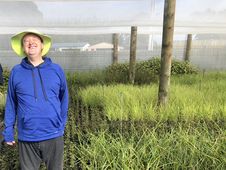 Hōhepa Hawke's Bay Plants